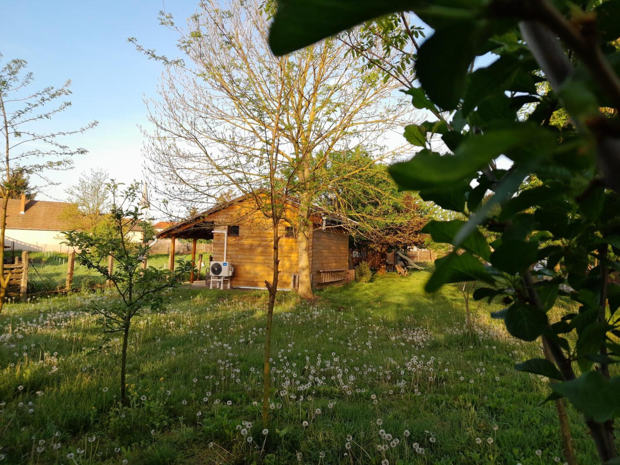 Villa Csonakhaz à Tiszadob Extérieur photo